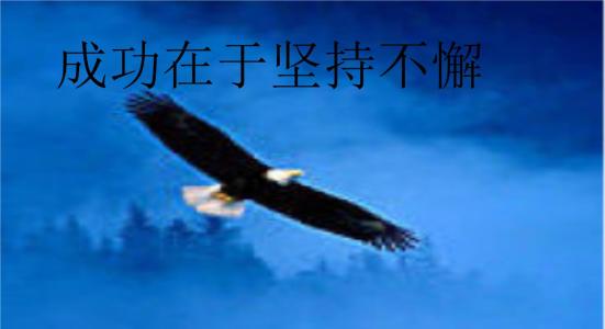 持久的生命