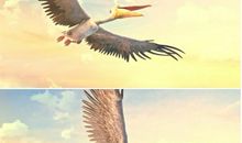 我希望我能在天空中飞翔