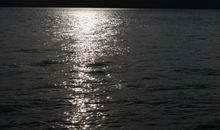 在夜灯的湖面上