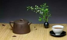 适合自己才是好的