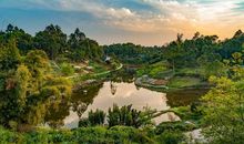 生活放慢脚步吧