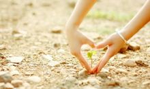 从哪跌倒，就从哪爬起来