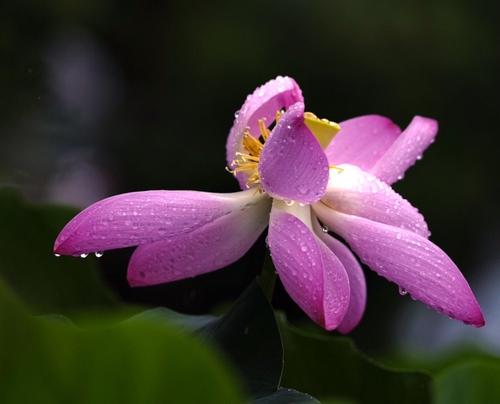 傅怡说