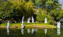 家乡的槐荫公园