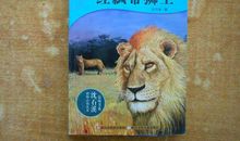 红飘带狮王读后感