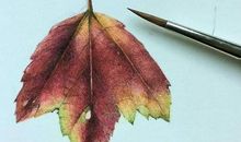 放慢，是一种最美的生命姿态