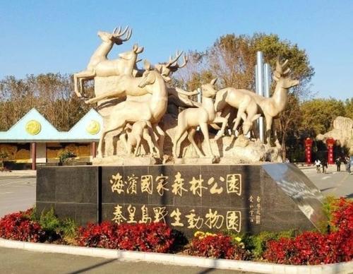 在野生动物园见面