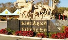 相约野生动物园