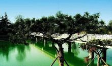 幸福和我想的不一样