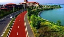 告诉你，我很幸福