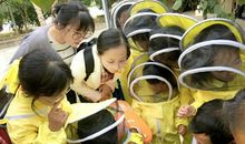 我与蜜蜂的第一次“亲密”接触