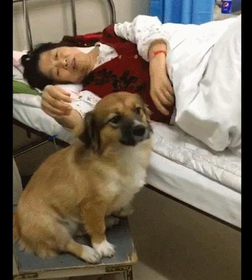 闷闷不乐