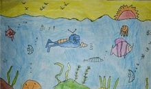 遨游科学的海洋