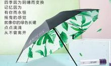 那把摇曳的旧伞