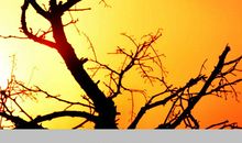 盼望雪一样的纯真