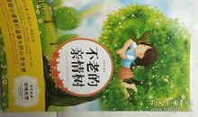 读《不老的亲情树》有感