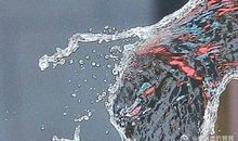 见利忘义的老鼠