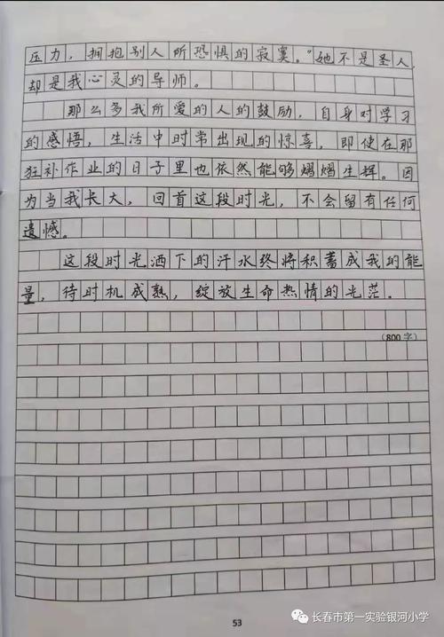 描绘南湖风光的构图