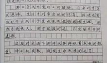 描写南湖的景色作文