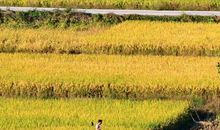 我爱我的家乡松溪