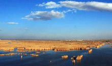 我爱家乡的阅海湿地公园