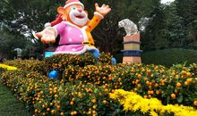 一次欢乐的旅游