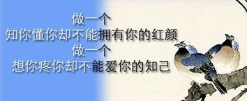爱我，放开我