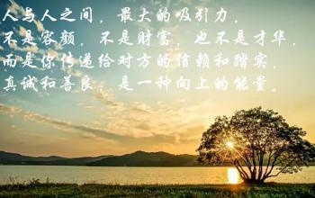诚实，善良，勤奋和节俭