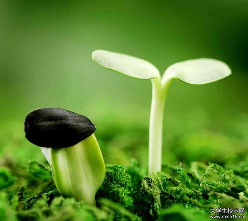 在那个场景中，我渴望生命