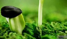 那一幕，我渴望生命