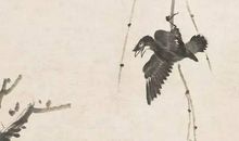 品味柳树真有趣