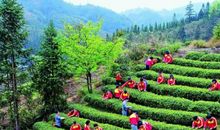 学农基地一日游