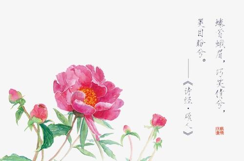 诗经的色彩