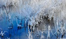 冬季也有冬季的美