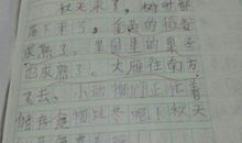 夏天的果园作文200字