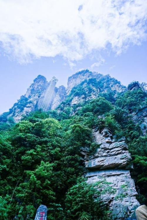 参观张家界森林公园