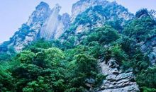 游张家界森林公园