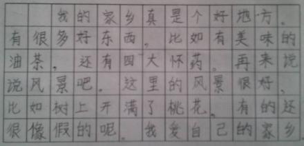 小学作文二年级