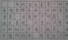 二年级作文夸家乡