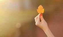 深冬小雨的浪漫