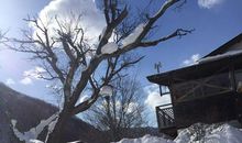 冬天的礼物——雪