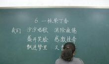 了不起的语文老师