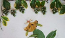 扩写作文狐狸吃葡萄