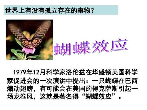 普通的东西