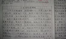 我尝到了苦涩的滋味作文