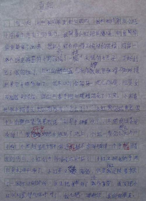 我的好朋友作文400字