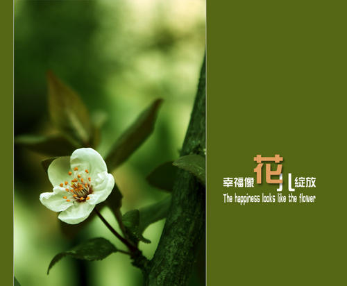 幸福像花一样绽放