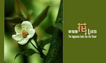 幸福像花儿一样绽放