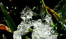 大自然，妙不可言