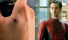 假如我变成了蛛蛛侠